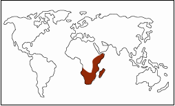 East and Southern Africa