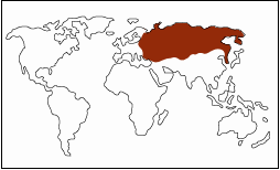 CEE/CIS and Baltic States