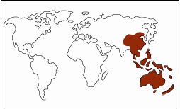 East Asia and the Pacific