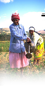 women tending crops