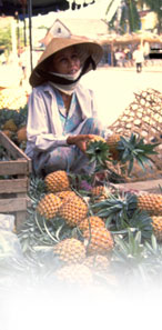 woman selling pineapples
