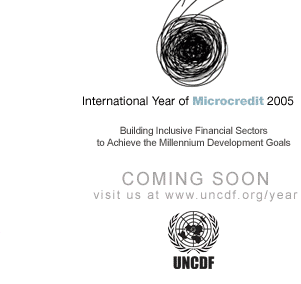 International Year of Microcredit 2005